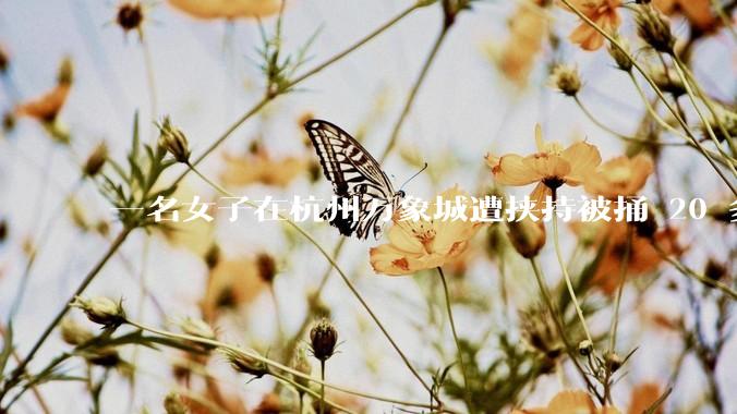 一名女子在杭州万象城遭挟持被捅 20 多刀，隆胸***体救了一命，这反映出哪些公安系统的问题？