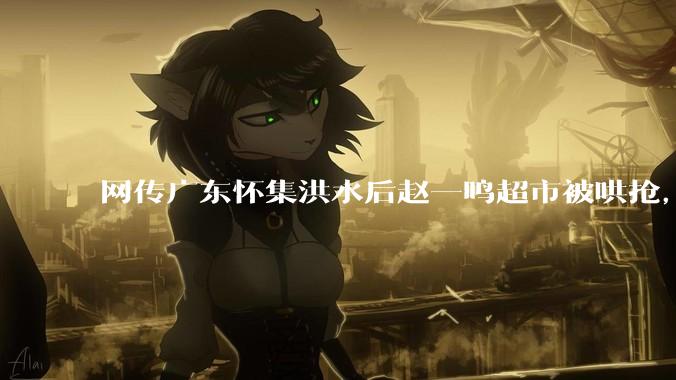 网传广东怀集洪水后赵一鸣超市被哄抢，县***回应相关单位正在核实，若属实哄抢者该承担哪些法律责任？